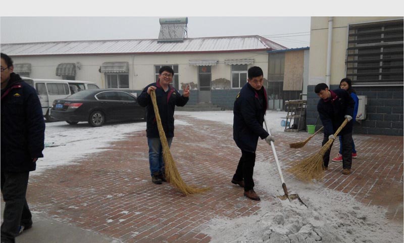 新年掃雪活動